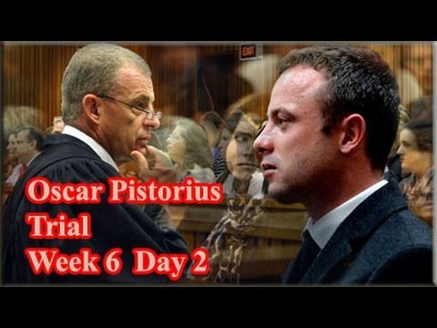 State Prosecutor Gerrie Nel  continue with his cross-examination of paralympian Oscar Pistorius for at least another day or two.