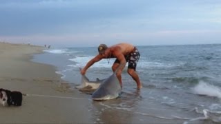 Man wrestles a 7 foot long shark to shore in Massachusetts