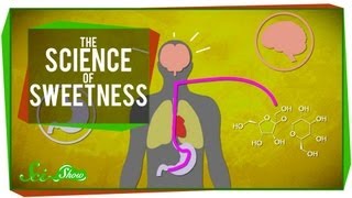 The Science of Sweetness