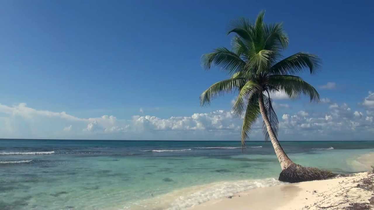 Relaxing 3 Hour Video of A Tropical Beach with Blue Sky White Sand and