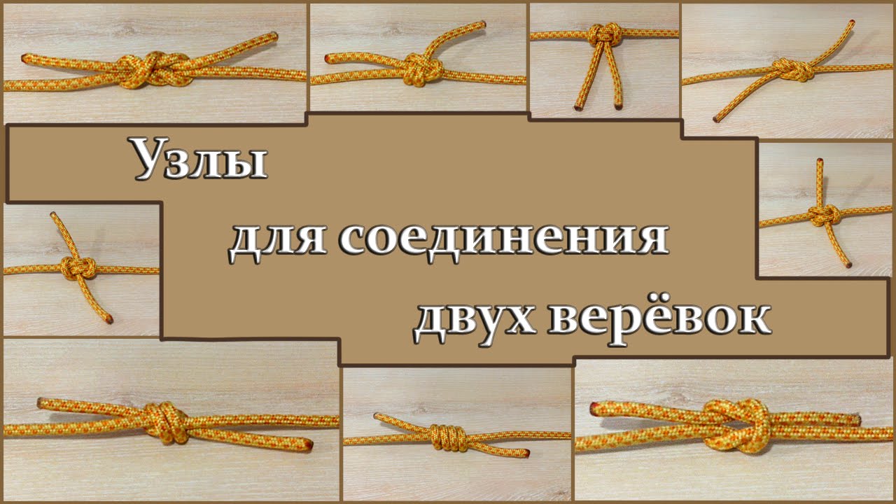 Сыпь проходит от солнца что это Сыпь проходит от солнца что это
