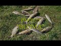 рыбхоз свислочь платная рыбалка 2016 рыбхоз свислочь платная рыбалка 2016