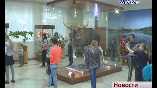 В Искитиме прошла Музейная ночь