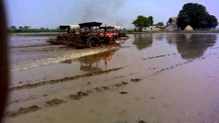 tractor race in kadu / farmtrac45 , mahindra275 , massey5245 , farmtrac60. kali-rAi jatt tractors in