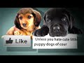 Youtube Tutorial: How to add captions to your Youtube videos (Easy)