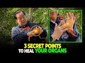 3 Powerful Acupressure Points to Heal Your Body  Mantak Chia