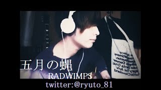 五月の蠅　RADWIMPS アコギアレンジ　by龍斗