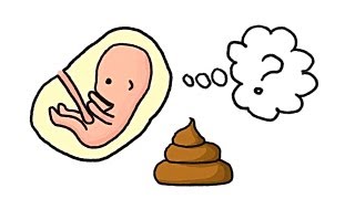 Do Fetuses Poop?