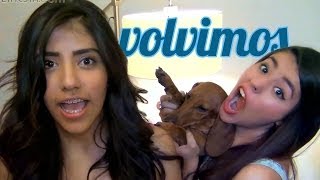 REGRESAMOS A YOUTUBE CON CAMBIOS | LOS POLINESIOS VLOGS