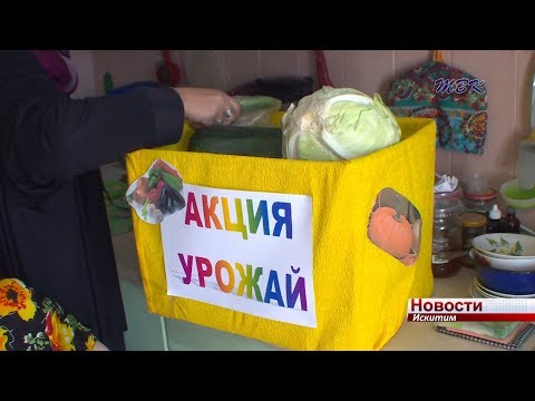 Свежие овощи в каждый дом. Акцию «Урожай» провели социальные работники Искитима Свежие овощи в каждый дом. Акцию «Урожай» провели социальные работники Искитима