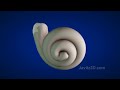 How the ear works