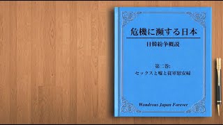 『危機に瀕する日本』日韓紛争概説  第２巻_ セックスと嘘と従軍慰安婦  