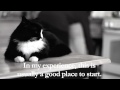 Henri -