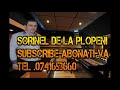 Colaj Sorinel de la Plopeni 2014 HIT Manele Etno Petrecere Populara Super Chef