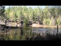 Flugfiske Våra Flugfiskefilmer Flugfiske Våra Flugfiskefilmer