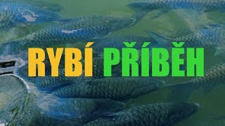 RYBÍ PŘÍBĚH