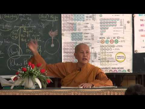 Vi Diệu Pháp - Sở Hữu Tịnh Hảo