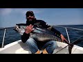 Italian Fishing TV - Mondo Artificiale - 04 - Yamashita Tuna Spinning 2