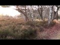 Video: Schavener Heide
