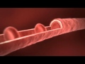 Aloe Vera Benefits - YouTube.flv