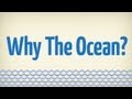 Why the Ocean?