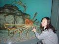 strange creatures and huge animals