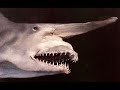 strange creatures and huge animals