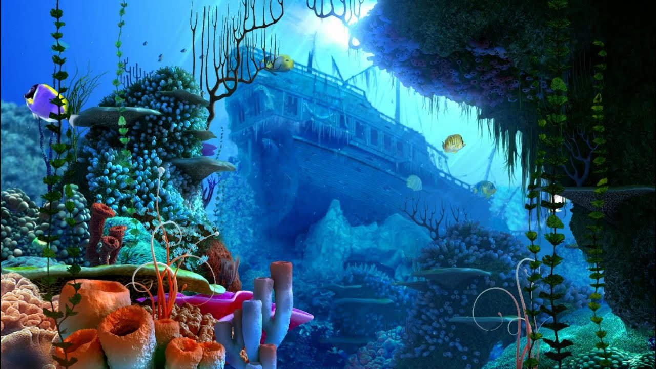 3Planesoft Premium 3D screensaver, Coral Reef - YouTube