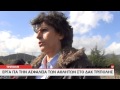 Έργα για την ασφάλεια των αθλητών στο ΔΑΚ Έργα για την ασφάλεια των αθλητών στο ΔΑΚ