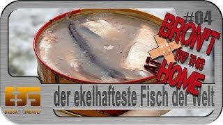 Bron't try this at HOME #4 - Surströmming, der Stinkefisch