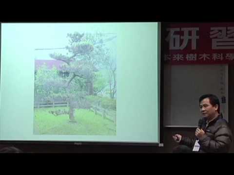 植栽管理新觀念 4. 容器苗 劉東啟博士 - YouTube pic