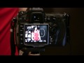 How to Focus and Recompose with a DSLR