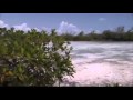 Destination mouche, Cayo Largo