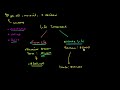 Term and Whole Life