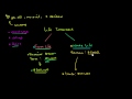 Term and Whole Life