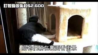 一家貓貓傢俬 One Cat Home Design 窗台加趟門　升級貓房間