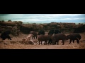 2001: A Space Odyssey