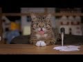 Lil BUB's Big SHOW Episode 1: Featuring Whoopi Goldberg