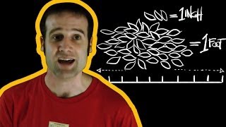 Are Imperial Measurements outdated? | Number Hub with Matt Parker | Head Squeeze