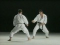 Masahiko Tanaka Sensei - Shotokan Karate Technik