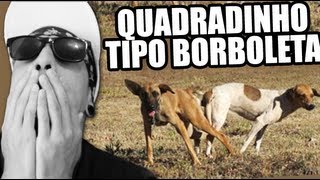 BONDE DAS MARAVILHAS - QUADRADINHO DE BORBOLETA (O RETORNO DO CÃO!)