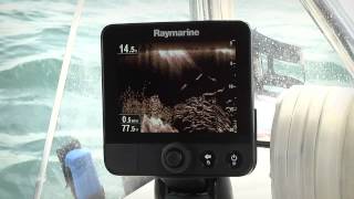   Raymarine Dragonfly-6 Gen1    CPT-60