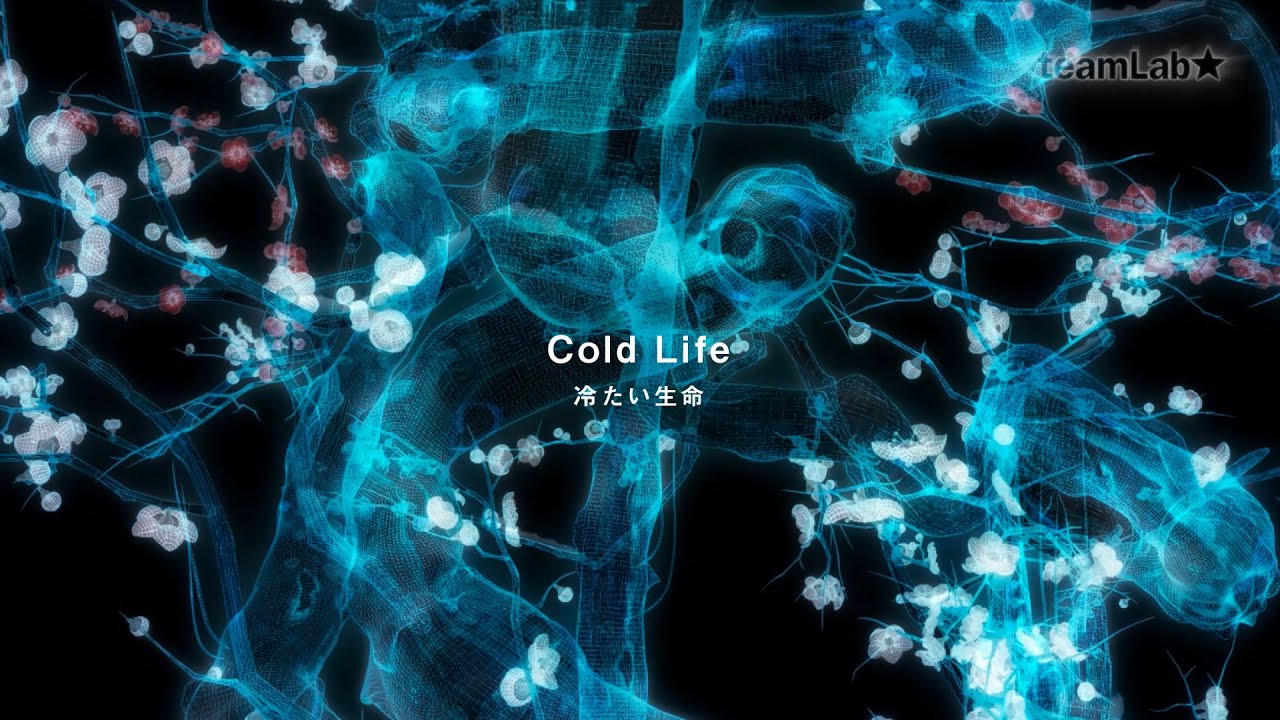 Cold Life / 冷たい生命