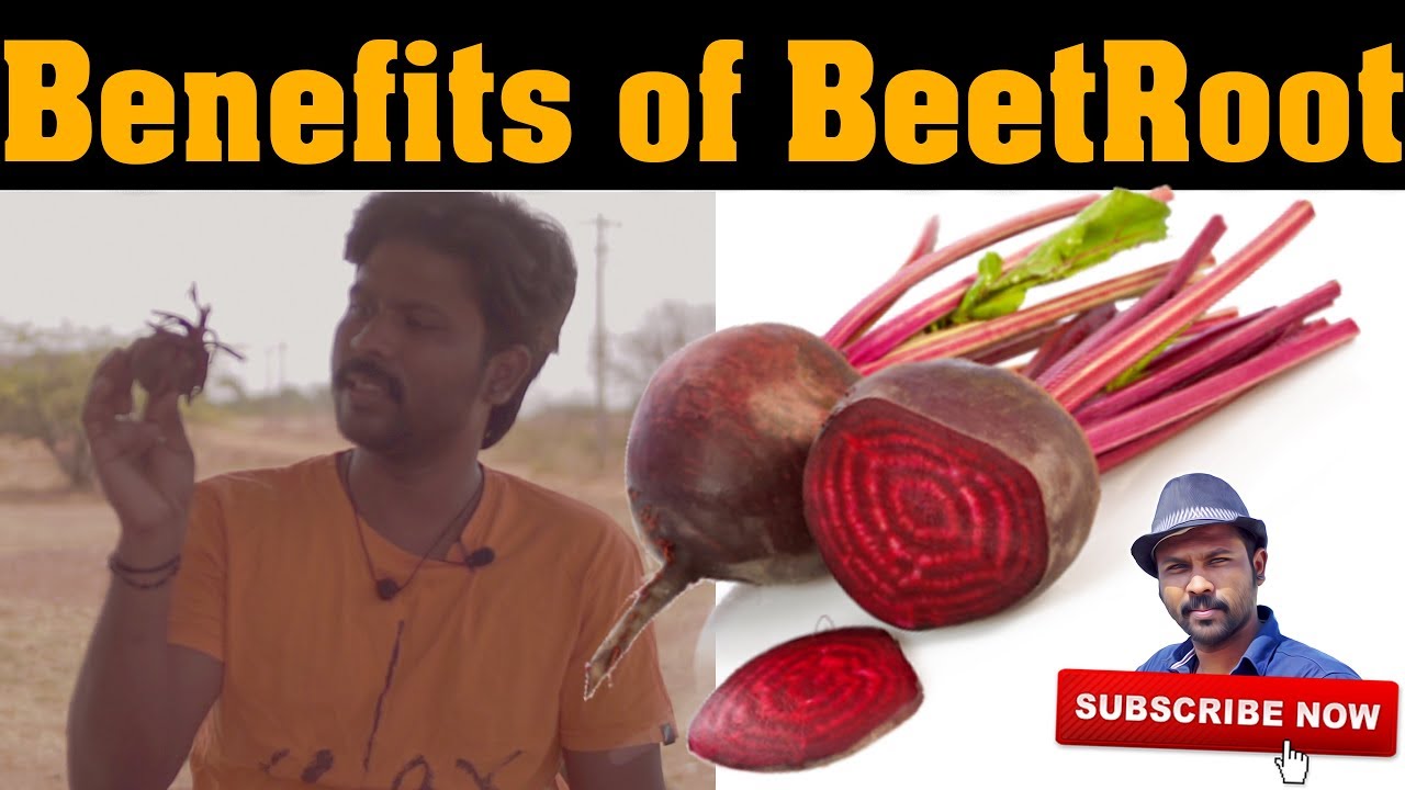 செங்கிழங்கு பயன்கள் | Benefits of Beet Root | Esh Health Tips
