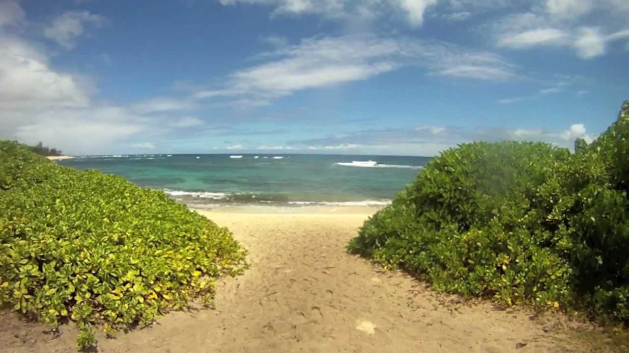 Beach in Hawaii by Ziggy Marley shot with GoPro HD Hero - YouTube