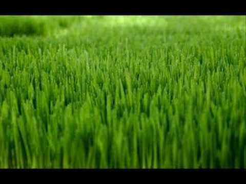 Chakra Meditation 0 Cosmic Meditation Technique To Get Connected with the Universe