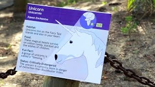 Unicorn at the Zoo