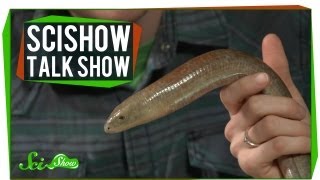 Spinal Posture & A Legless Lizard: SciShow Talk Show #13