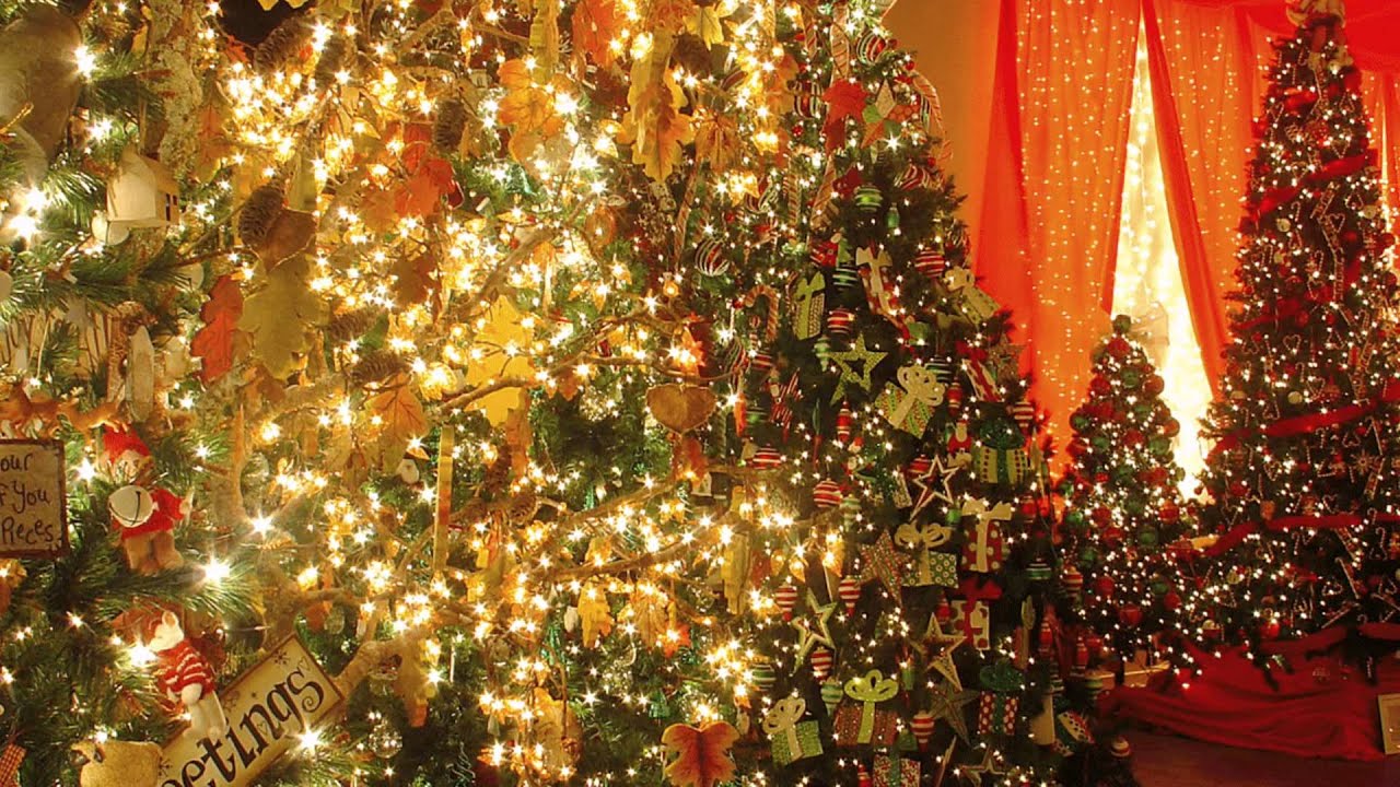 christmas wonderland 2012 auckland new zealand youtube christmas wonderland 2012 auckland new zealand youtube