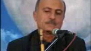 Ali Hafezi